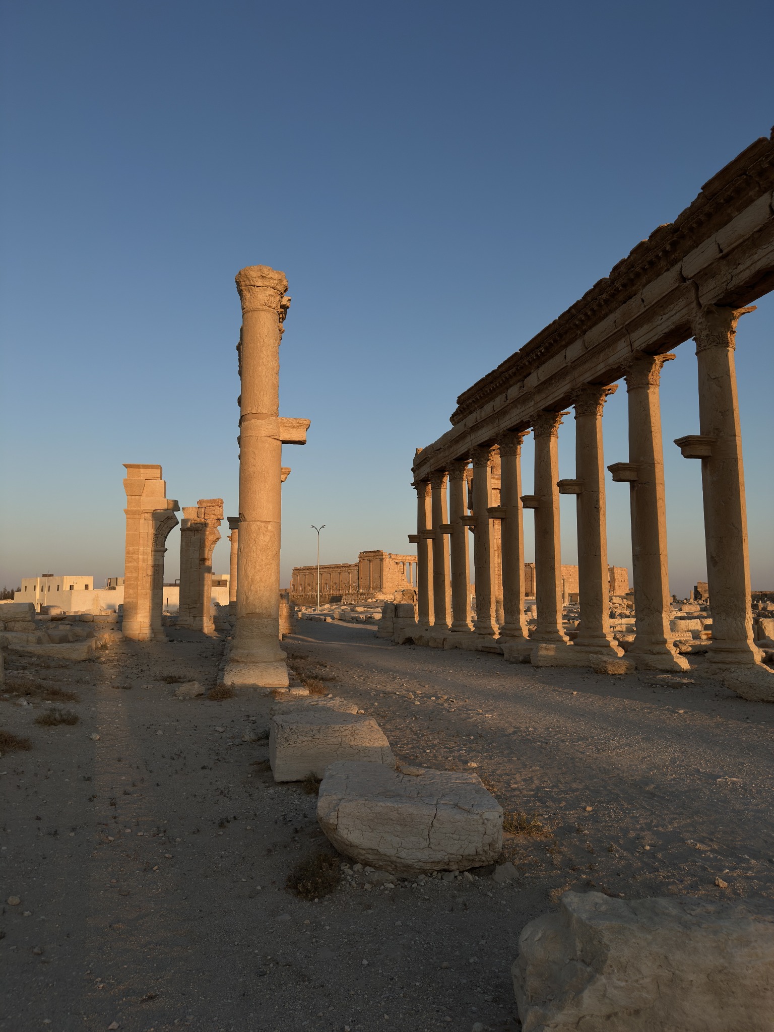 Golden-hour view of the ancient colonnade at Palmyra, Syria